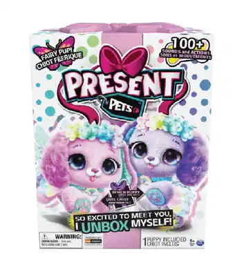 Mr Toys Present pets rainbow fairy offer
