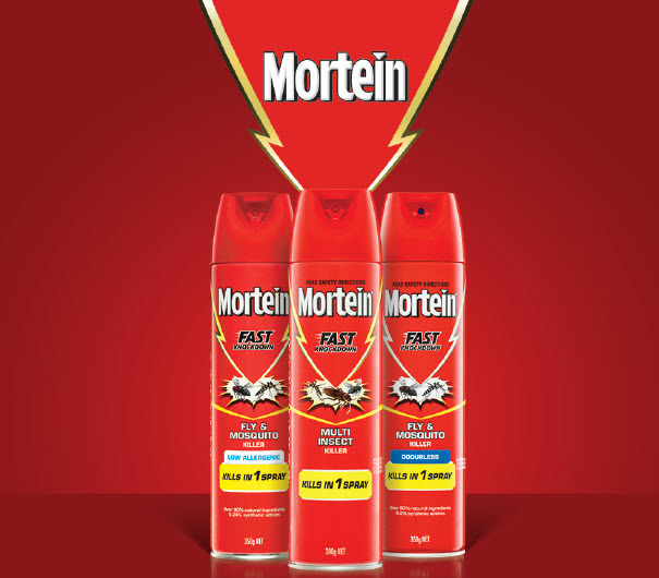 Mortein fast knockdown insect killer spray 300g350g offer at Drakes
