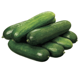 Drakes South australian lebanese cucumbers offer