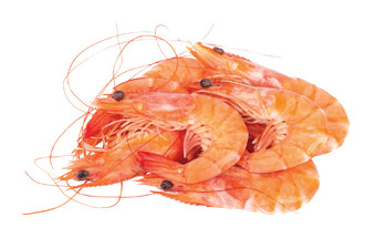 Drakes South australian cooked large king prawns 16/20 offer