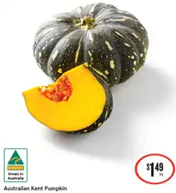 Australian Kent Pumpkin