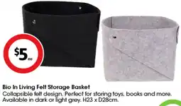 Coles Bio In Living Felt Storage Basket offer