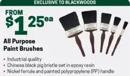 Blackwoods All purpose paint brushes offer