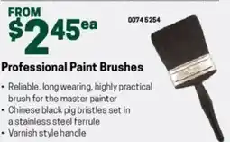 Blackwoods Professional paint brushes offer