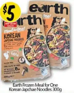 Earth frozen meal for one korean japchae noodles