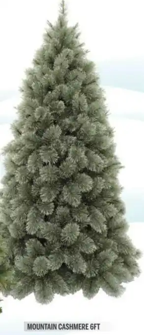 Christmas Tree Mountain Cashmere 6ft