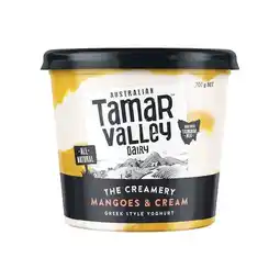 Woolworths Tamar Valley Indulgent Yoghurt 700g β From the Fridge offer