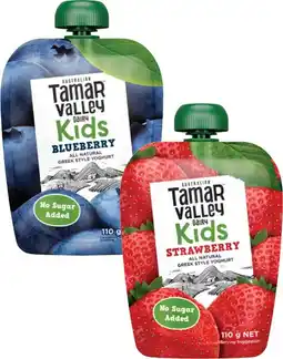 Coles Tamar Valley Kids Yoghurt Pouch 110g offer