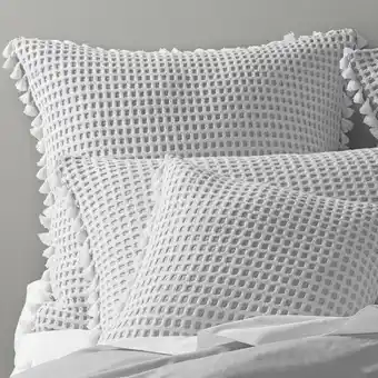 Spotlight 50% off Dri Glo Cotton Haven European Pillowcase offer