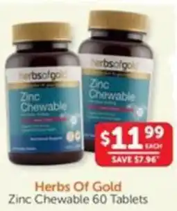 WHOLELIFE catalogue Zinc Chewable offer