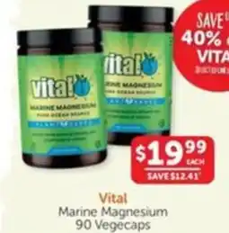 Marine Magnesium