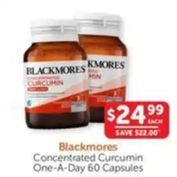 WHOLELIFE catalogue Concentrated Curcumin One-A-Day offer