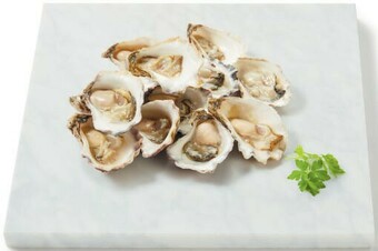 Coles Fresh Sydney Rock Oysters 12 Pack offer