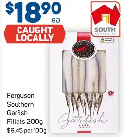 Ferguson southern garfish