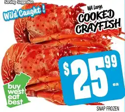WA Large Cooked Crayfish