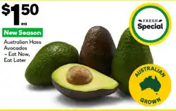 BIG W Australian hass avocados offer