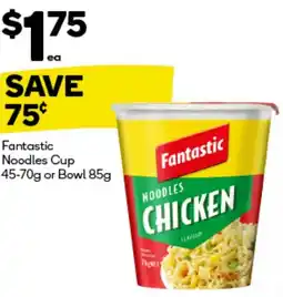 Fantastic noodles cup 45-70g or bowl 85g