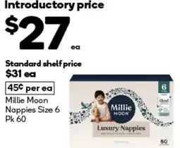 BIG W Millie moon nappies size 6 offer