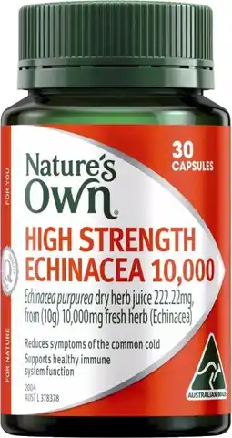 healthylife Nature's Own High Strength Echinacea 10000mg 30 Capsules offer