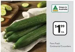 Foodworks Farm Fresh Continental Cucumbers offer