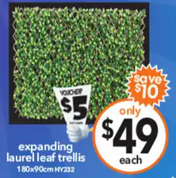 Cheap as Chips expanding laurel leaf trellis offer