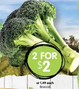 Spudshed Broccoli offer