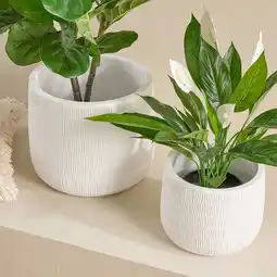 Pillow Talk Webster Planter by M.U.S.E offer