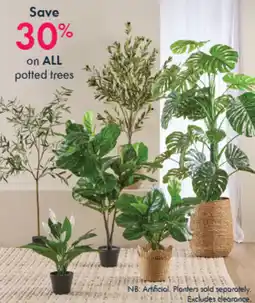 Pillow Talk Potted trees offer