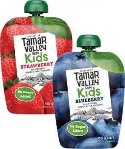 Coles Tamar Valley Kids Yoghurt Pouch 110g offer