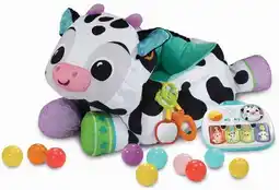 BIG W VTech Moosical Activities Ball Pit offer