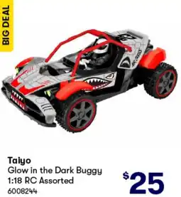 BIG W Taiyo offer