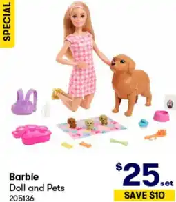 BIG W Barbie Doll and Pets offer