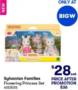 BIG W Sylvanian Families Flowering Princess Set offer