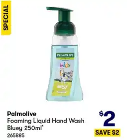 BIG W Foaming Liquid Hand Wash Bluey offer