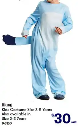 BIG W Kids Costume Size 3-5 Years offer