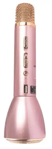 SuperCheap Auto Brooklyn wireless karaoke microphone offer