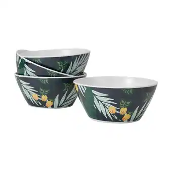 Kmart 4 pack jungle palm bowls offer