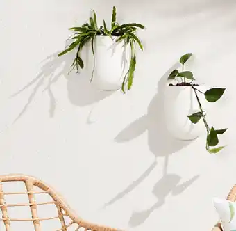 Kmart Speckled hanging wall planter offer