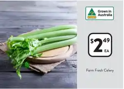 Foodworks Farm Fresh Celery offer