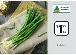 Foodworks Eschallots offer