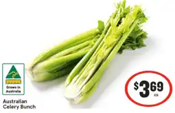 IGA Australian Celery Bunch offer