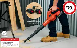 Coles Urbanworx Cordless Blower offer
