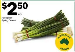 Woolworths Australian Spring Onions offer