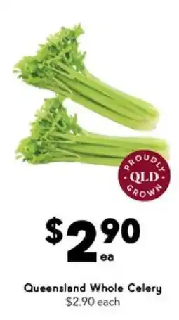 Queensland Whole Celery
