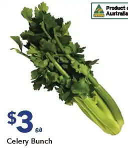 Celery Bunch