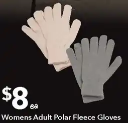 Ritchies Womens Adult Polar Fleece Gloves offer