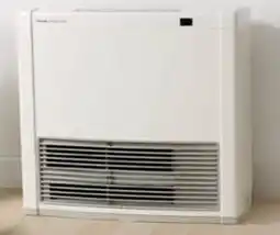 Bing Lee Rinnai Avenger 25 Convector Heater offer