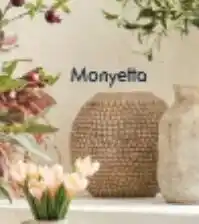 Pillow Talk Monyetta vase offer