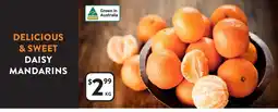 Foodworks Daisy mandarins offer