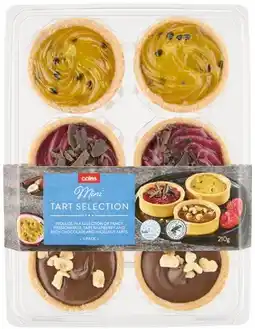 Coles NEW Coles Mini Tart Selection 6 Pack 210g offer